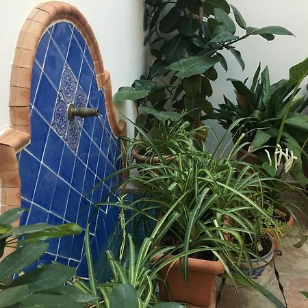 La Casa Del Rio Daire Cordoba Dış mekan fotoğraf