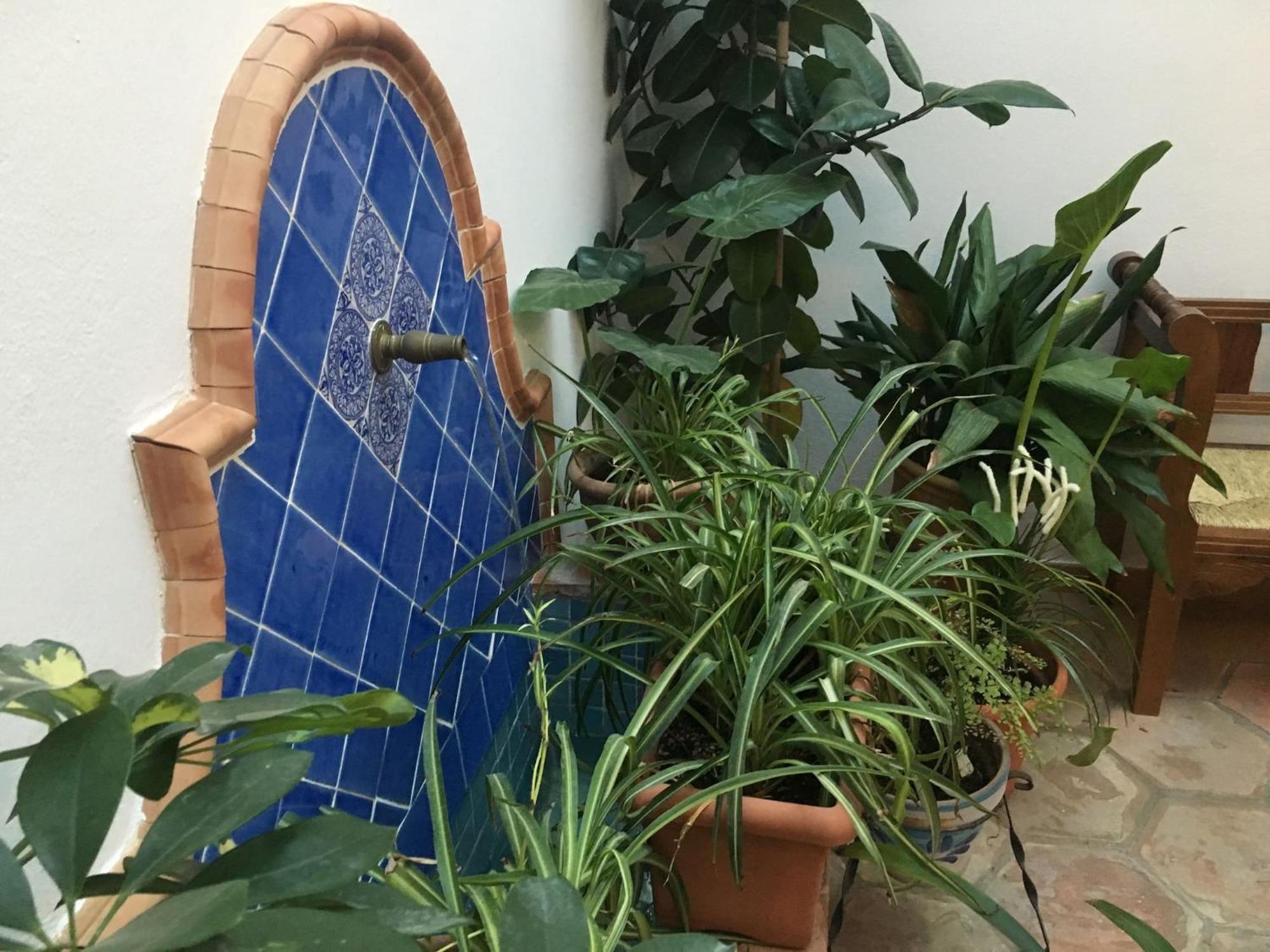 La Casa Del Rio Daire Cordoba Dış mekan fotoğraf